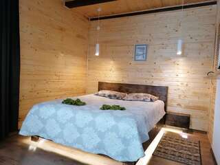 Отель AGORA Chalet Славское Двухместный номер Делюкс с 1 кроватью-11