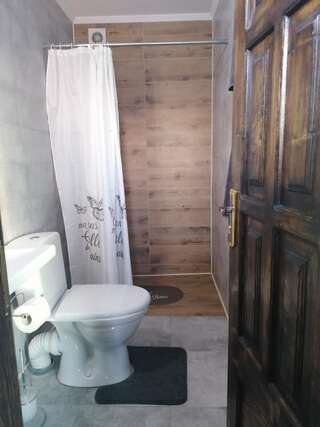 Отель AGORA Chalet Славское Двухместный номер Делюкс с 1 кроватью-15